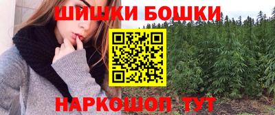 mdpv Заводоуковск