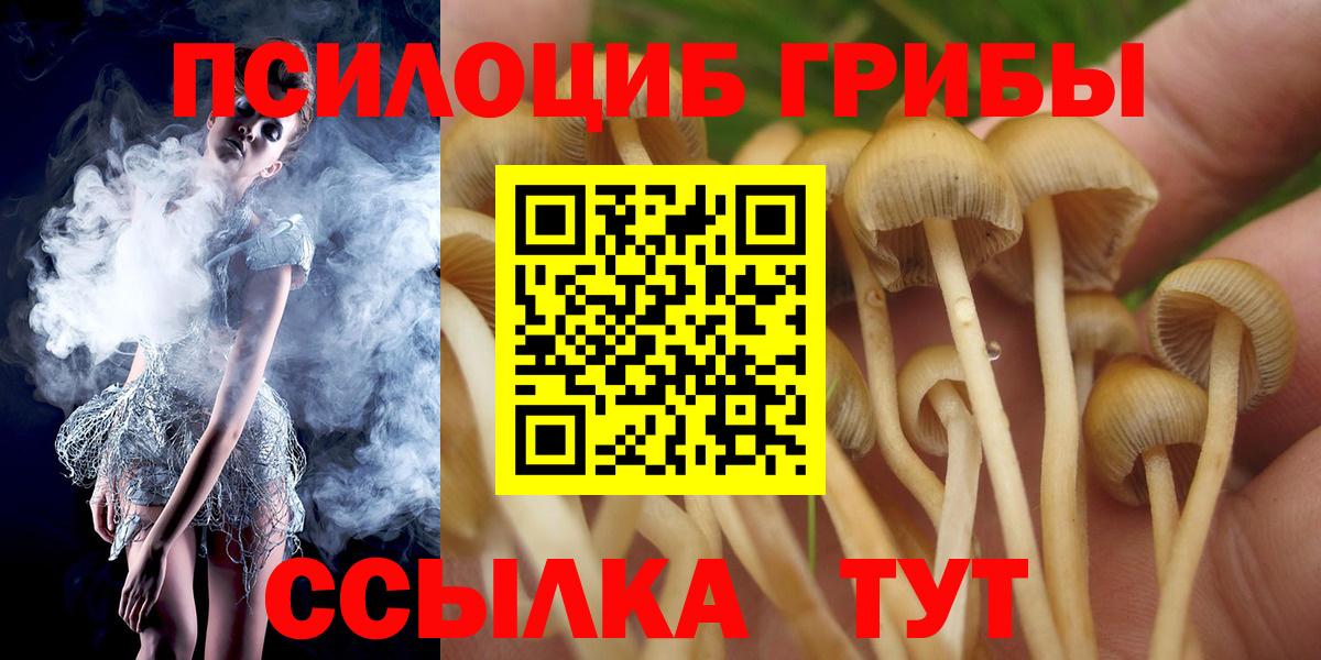 Галлюциногенные грибы Cubensis Балашов