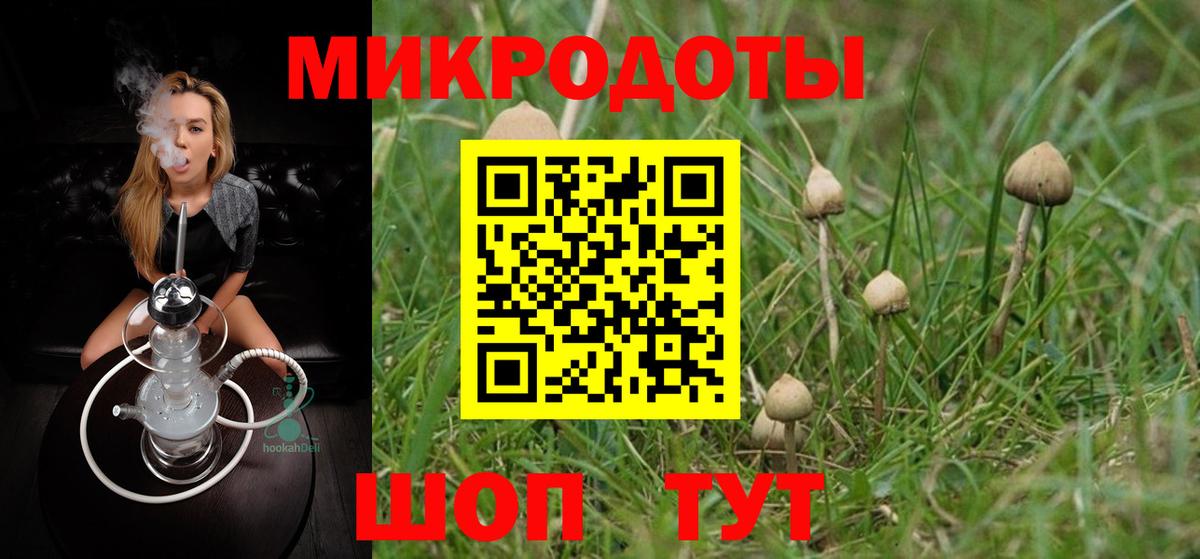 Галлюциногенные грибы Psilocybine cubensis  Вход с VPN  Балашов  Галлюциногенные грибы Magic Shrooms 